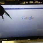 Laptop Screen Repair Service in Jaipur